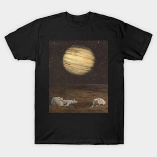 Sleeping like a baby T-Shirt